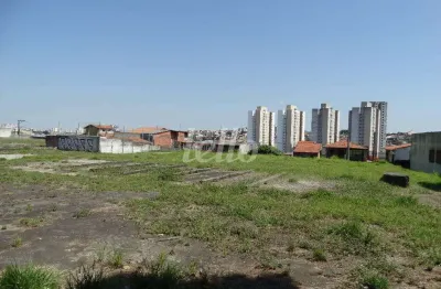 Terreno comercial para alugar na rua januário cicco, --, vila nova pauliceia, são paulo, 5000 m2 por r$ 40.000