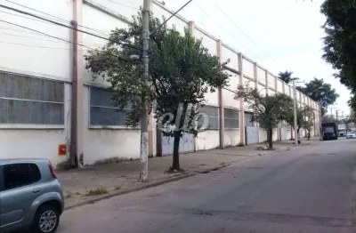 Barracão / galpão / depósito para alugar na avenida cardeal santiago luiz copello, --, vila ribeiro de barros, são paulo, 9507 m2 por r$ 285.000