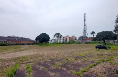 Terreno comercial para alugar na rua alexandre aliperti, --, vila água funda, são paulo, 5000 m2 por r$ 50.000