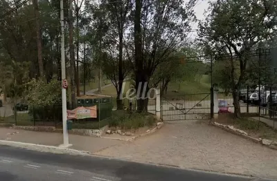 Terreno comercial para alugar na rua osvaldo pucci, --, jardim nossa senhora do carmo, são paulo, 1549 m2 por r$ 45.000