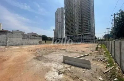 Terreno comercial para alugar na rua francisco peres, --, vila nair, são paulo, 3939 m2 por r$ 29.999