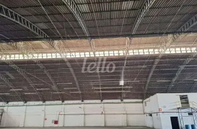 Barracão / galpão / depósito para alugar na rua cadiriri, --, parque da mooca, são paulo, 4000 m2 por r$ 187.000