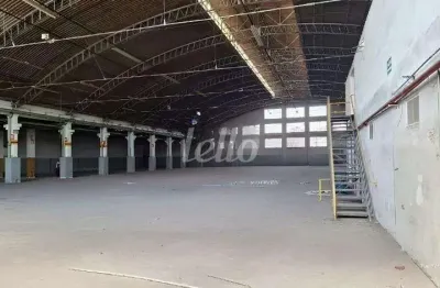 Barracão / galpão / depósito para alugar na rua cadiriri, --, parque da mooca, são paulo, 23348 m2 por r$ 1.245.000