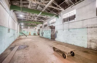 Barracão / galpão / depósito para alugar na rua josé mascarenhas, --, vila matilde, são paulo, 500 m2 por r$ 10.000