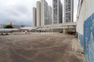Barracão / galpão / depósito para alugar na rua james holland, --, barra funda, são paulo, 2570 m2 por r$ 70.000