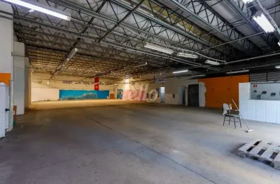 Ponto comercial para alugar na avenida júlio buono, --, vila gustavo, são paulo, 1800 m2 por r$ 42.000