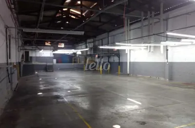 Barracão / galpão / depósito para alugar na avenida antônio da fonseca martins, --, são josé, são caetano do sul, 1000 m2 por r$ 25.000