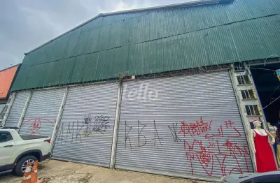 Barracão / galpão / depósito para alugar na avenida da barreira grande, --, jardim colorado, são paulo, 565 m2 por r$ 18.000