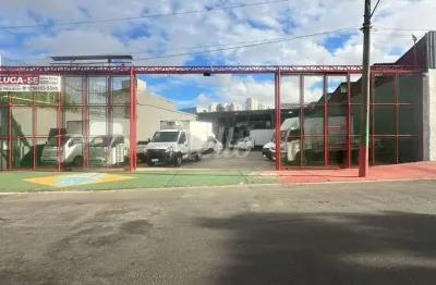 Terreno comercial para alugar na Rua Demétrio Ribeiro, --, Cidade Mãe do Céu, São Paulo, 643 m2 por R$ 28.000