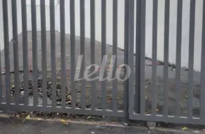 Terreno comercial para alugar na rua do oratório, --, mooca, são paulo, 300 m2 por r$ 7.500