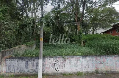 Terreno à venda na rua manuel morais pontes, s/n, vila albertina, são paulo, 406 m2 por r$ 600.000