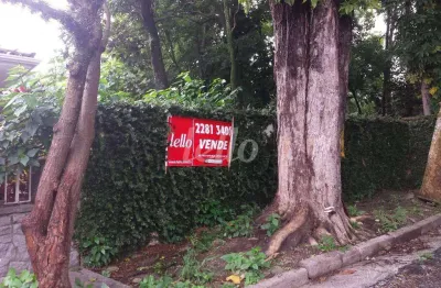 Terreno à venda na rua caucaia do alto, 000, vila albertina, são paulo, 341 m2 por r$ 530.000