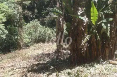 Terreno à venda na avenida nova cantareira, 7020, tucuruvi, são paulo, 3351 m2 por r$ 1.790.000