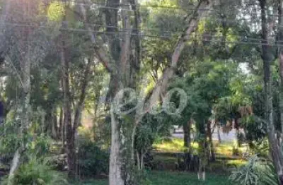 Casa com 2 quartos à venda na rua padre bruno ricco, 100, parque são lucas, são paulo, 340 m2 por r$ 1.000.000