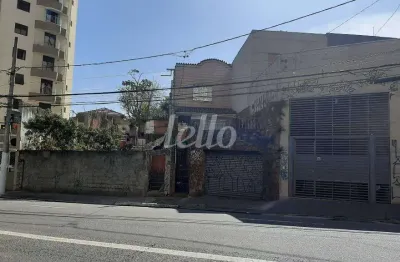 Terreno à venda na avenida nova cantareira, 125/129, tucuruvi, são paulo, 390 m2 por r$ 1.620.000