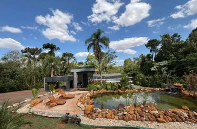 Chácara / sítio com 5 quartos à venda na Área Rural, 00, Área Rural de Rolândia, Rolândia