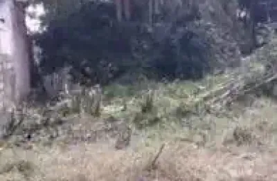 Terreno localizado no bairro bopiranga, em itanhaém.