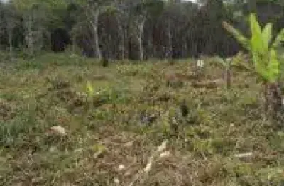 Terreno no bairro luizamar mirim, em itanhaém - lado serra em rua de terra.