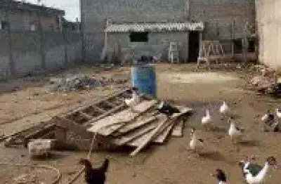 Terreno localizado no bairro são joão, em itanhaém - lado praia em rua de terra.