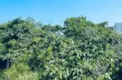 Terreno localizado na estância santa cruz, em itanhaém - lado praia em rua de terra.