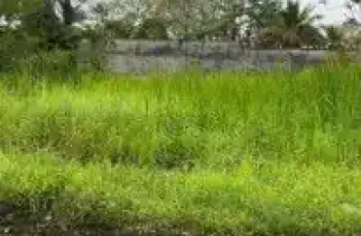 Terreno no bairro palmeiras, em itanhaém - localizado no lado serra, em rua de terra.