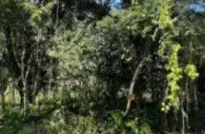 Terreno no bairro jardim palmeiras, em itanhaém - localizado no lado praia, em rua de terra.