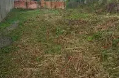 Terreno no bairro jardim das palmeiras, em itanhaém - localizado no lado praia.