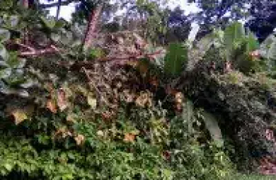 Terreno no jardim marambá 2, em itanhaém - sendo lado serra, em rua de terra.