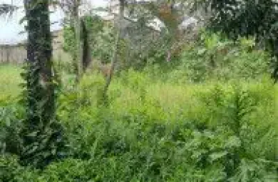 Excelente terreno localizado no bairro cibratel 2, em itanhaém - lado praia à 700 metros do mar, em rua de cascalho.