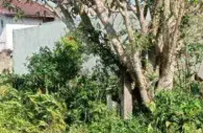 Terreno localizado no bairro jardim das palmeiras - lado praia.