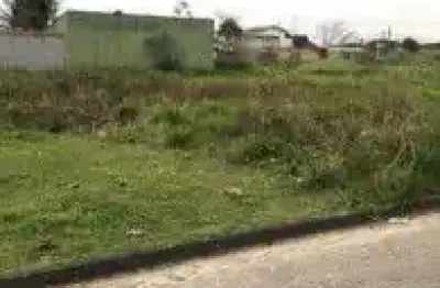 Excelente terreno localizado no bairro jardim regina - lado praia, em rua calçada.