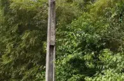 Terreno à venda no Jardim Coronel, Itanhaém 