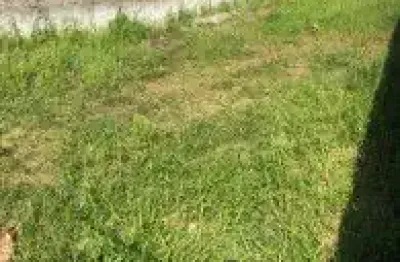 Excelente terreno localizado no balneário san marcos, em itanhaém - lado praia, em rua calçada.