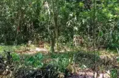 Terreno à venda no Jardim Coronel, Itanhaém 