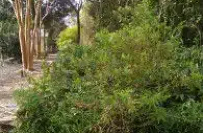 Terreno no bairro bopiranga, em itanhaém, localizado no lado serra.