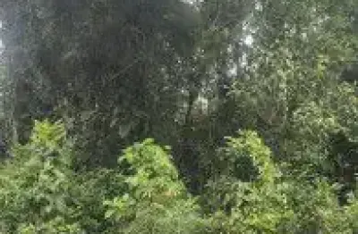 Terreno localizado no bairro parque fluvial em itanhaém - lado serra, em rua de terra.