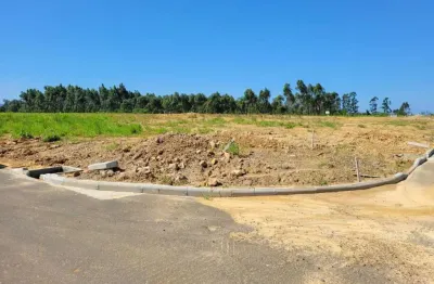 Terreno à venda na Rodovia Alexandre Beloli, Primeira Linha, Criciúma
