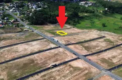 Terreno à venda na Maria Regina N Dal Pont, Archimedes Naspolini, Criciúma