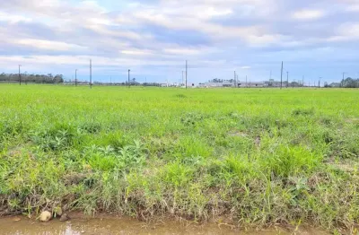 Terreno à venda em Santa Cruz, Forquilhinha 
