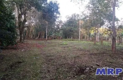 Área à venda em ubatuba, bairro do sertão da quina, com acesso ao rio, com 8.000m².