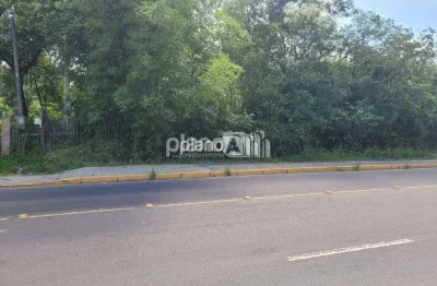 Terreno à venda, com 4.794,46m², - barnabé - gravataí / rs por r$ 2.200.000,00