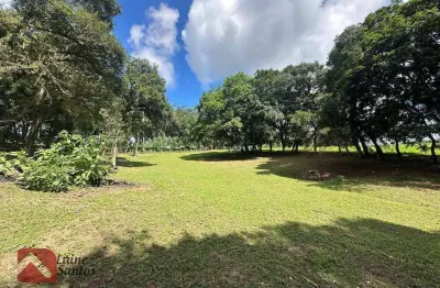 Chácara com 1 dormitório à venda, 11000 m² por r$ 850.000,00 - campo do meio - campo largo/pr