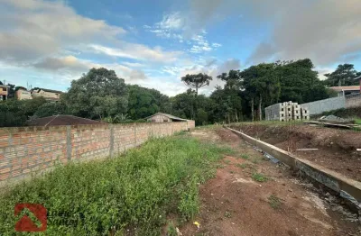 Terreno à venda, 252 m² por r$ 140.000,00 - loteamento santa ana - campo largo/pr
