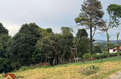 Terreno à venda, 225 m² por r$ 136.500,00 - campo do meio - campo largo/pr
