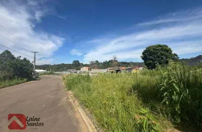 Terreno à venda, 741 m² por R$ 350.000,00 - Jardim Lise - Campo Largo/PR