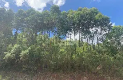 Terreno, à venda em santa maria do herval, vila seger