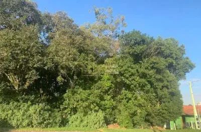 Terreno à venda na Avenida Do Parque, Primavera, Dois Irmãos