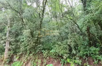 Terreno, 1.608,75m², à venda em dois irmãos, portal da serra