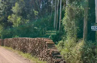 Terreno à venda na Linha Cristo Rei, Linha Cristo Rei, Morro Reuter