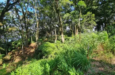 Área de terras á venda em são josé do herval, morro reuter/rs